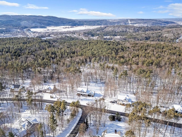 snowy aerial view featuring a mountain view