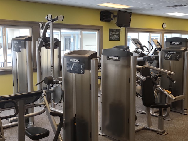 workout area with a paneled ceiling and carpet floors