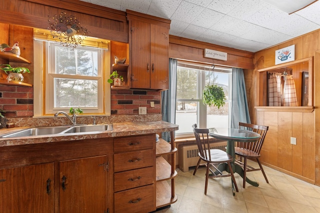 kitchen featuring sink, radiator, and wooden walls