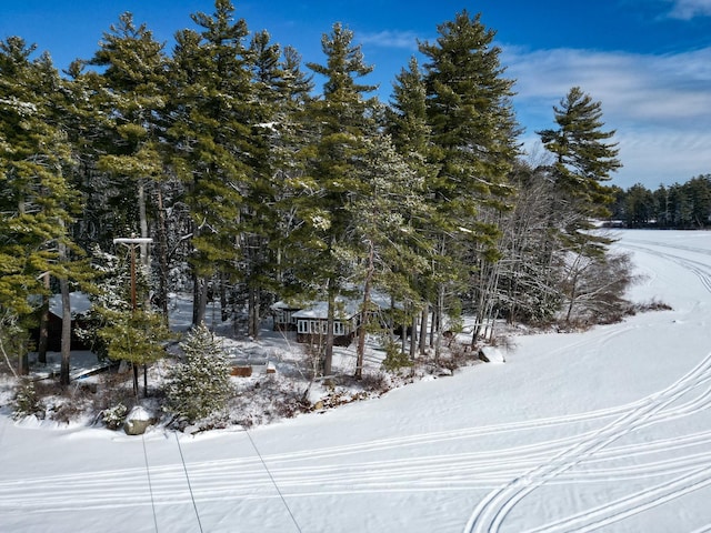 view of snow covered land