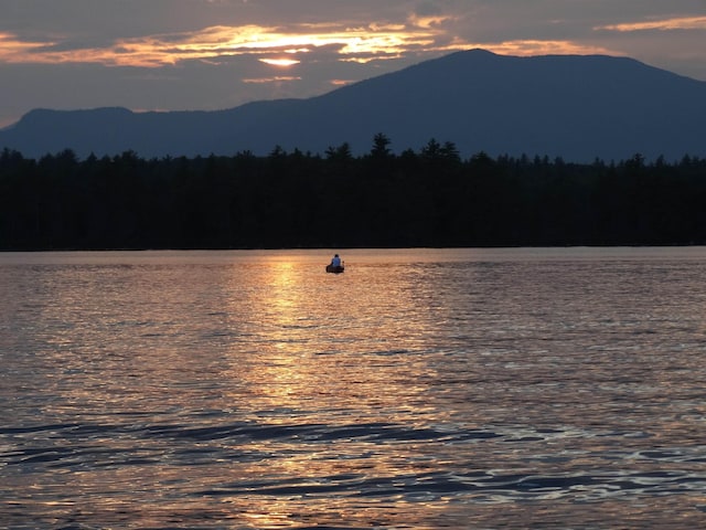 property view of water featuring a mountain view