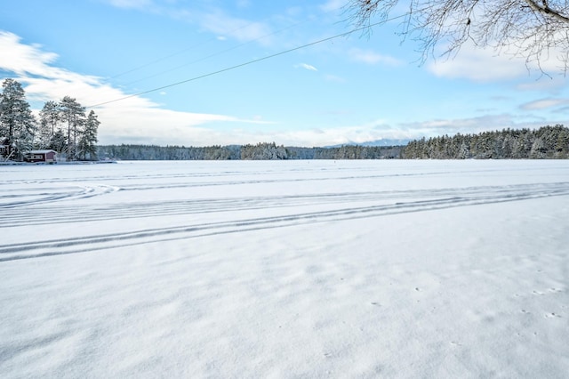 view of yard covered in snow