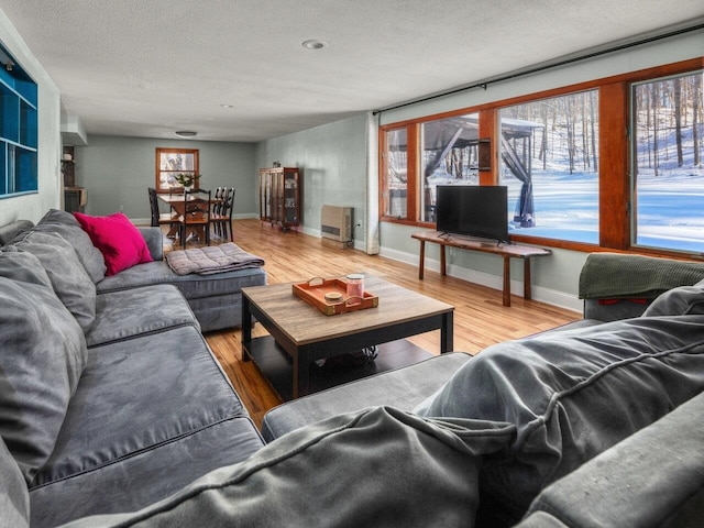 living room with hardwood / wood-style flooring and a textured ceiling