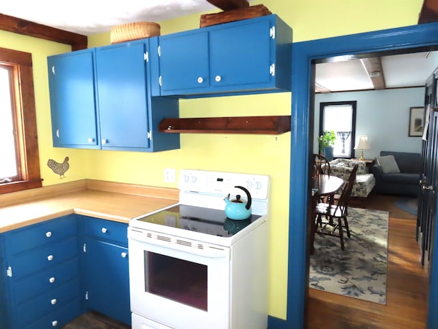 kitchen featuring electric range, blue cabinetry, and dark hardwood / wood-style floors