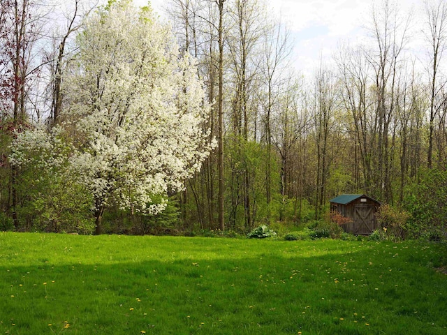 45 E Shore N, Grand Isle, VT 05458 - view of green lawn with a forest view