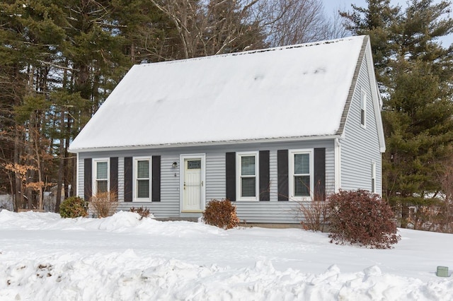 view of cape cod-style house