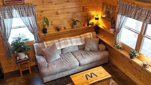 living area with plenty of natural light and wooden walls