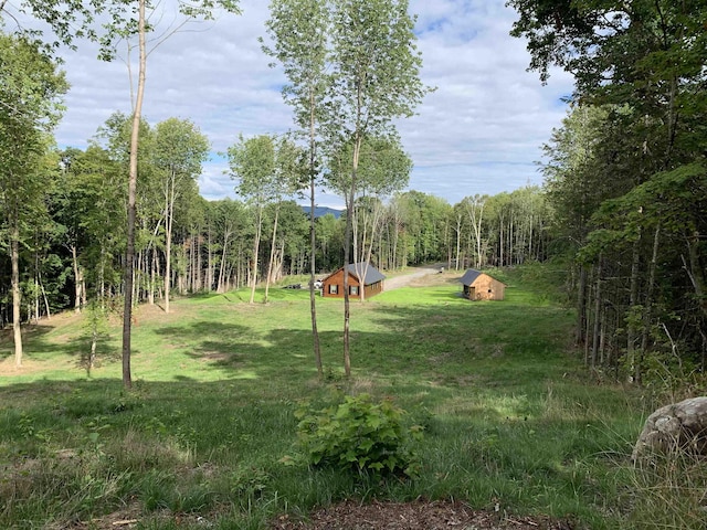 view of yard featuring a storage unit