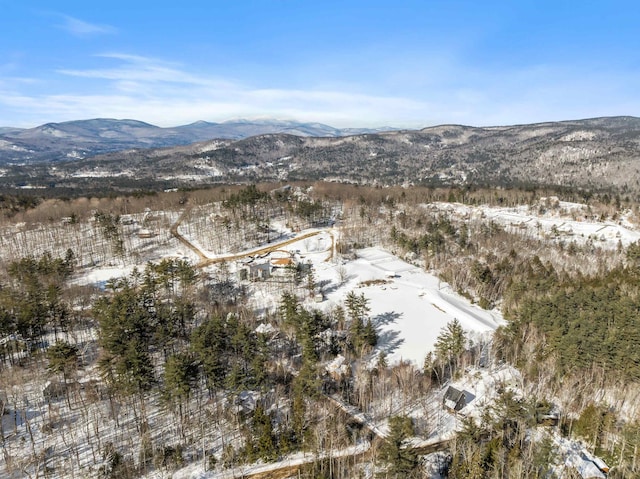 snowy aerial view featuring a mountain view