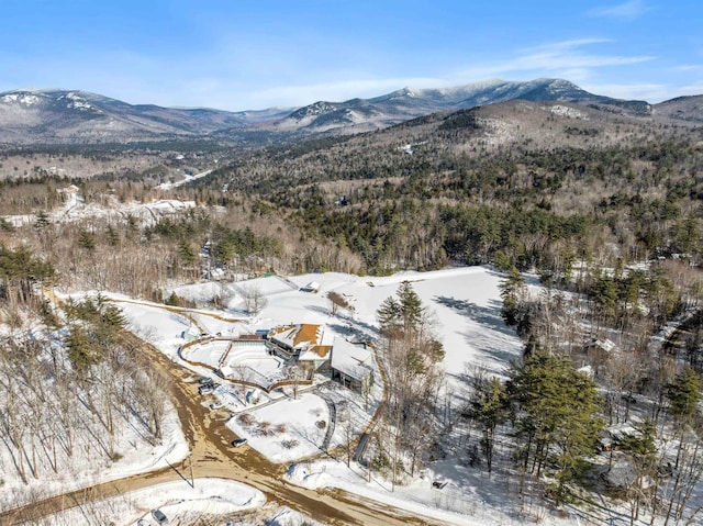 snowy aerial view featuring a mountain view