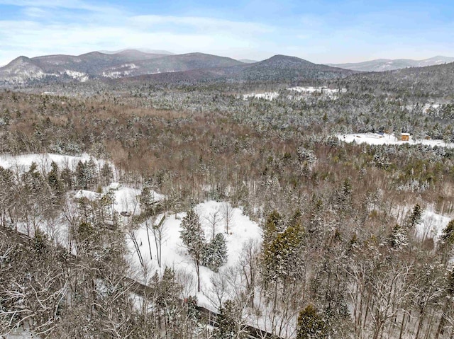 Listing photo 2 for 50 Blake Hill Rd, Ossipee NH 03814