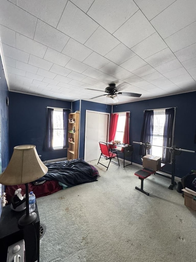 bedroom featuring ceiling fan and carpet