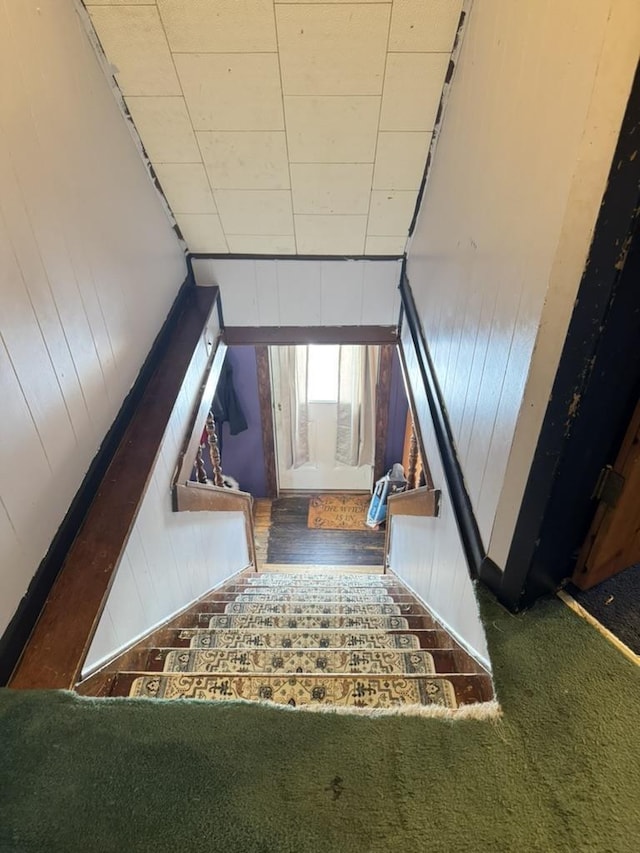 staircase with carpet and wood walls