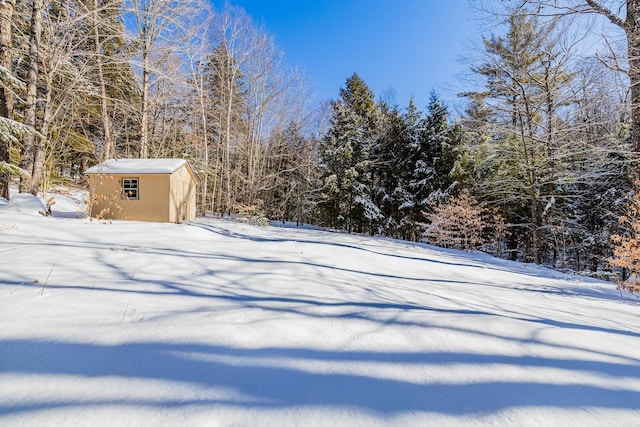 yard covered in snow with a shed