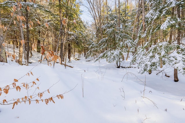 view of snow covered land