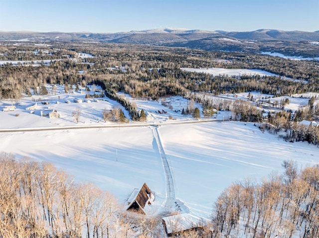 snowy aerial view with a mountain view