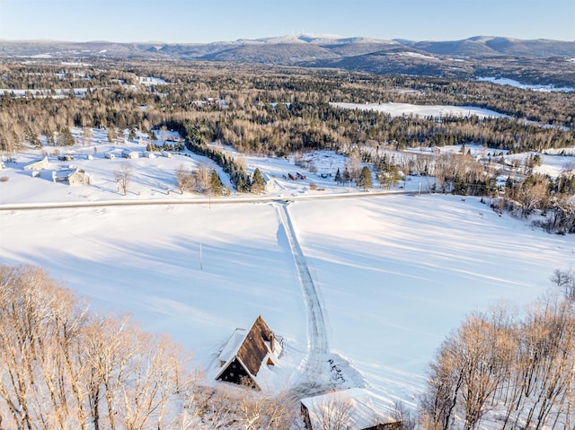 snowy aerial view featuring a mountain view