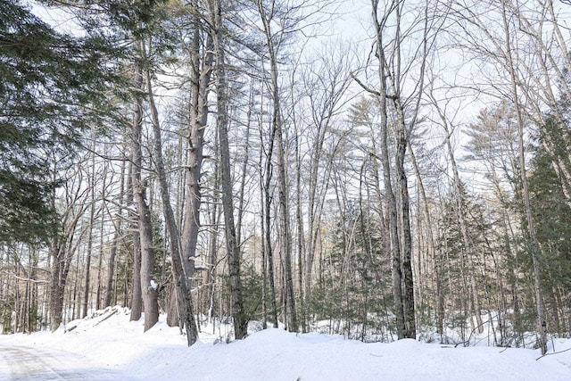 Listing photo 3 for 224LOT20 Elijah Beede Rd, Sandwich NH 03883