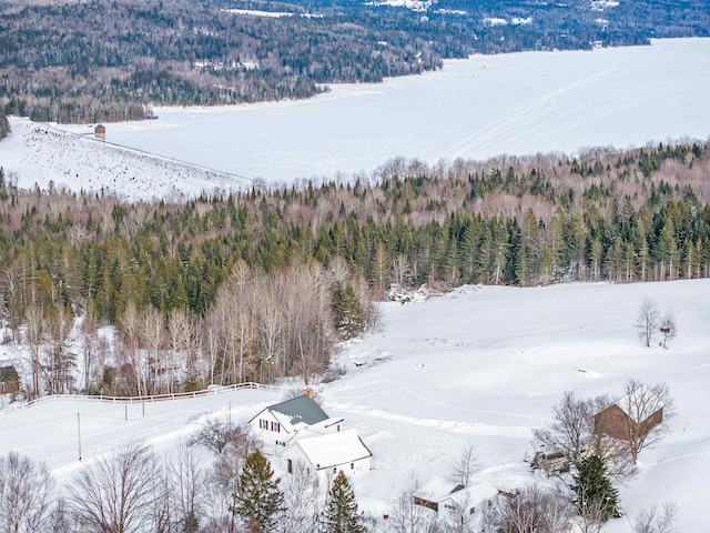 view of snowy aerial view