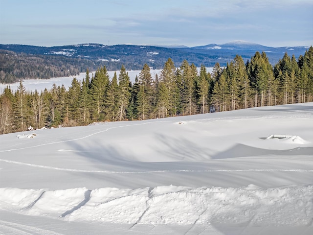 view of mountain feature