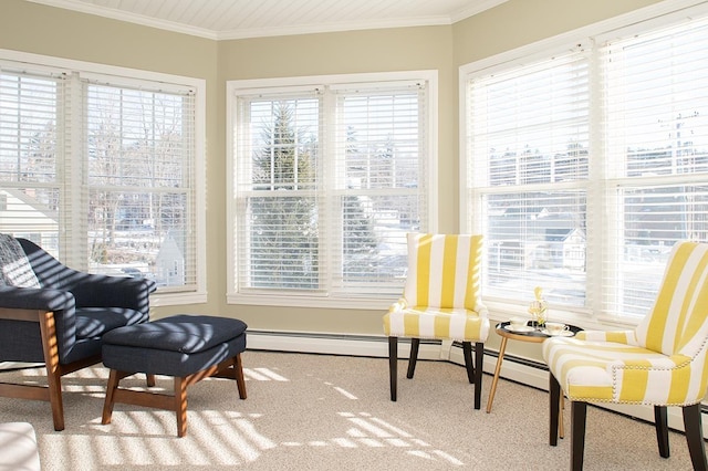 living area with crown molding and carpet floors