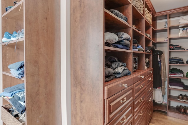 spacious closet featuring light wood-type flooring