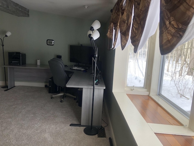 view of carpeted home office