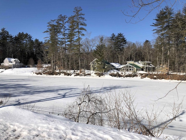 view of yard layered in snow