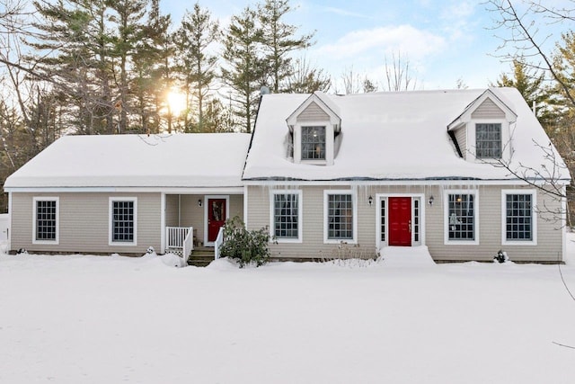 view of cape cod-style house