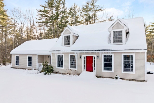 view of cape cod house