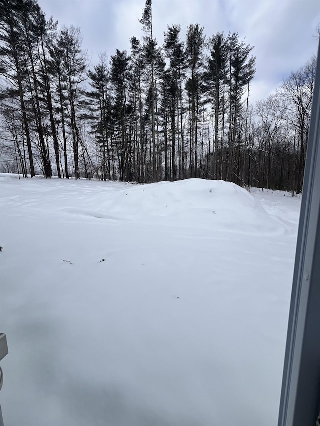 view of yard covered in snow