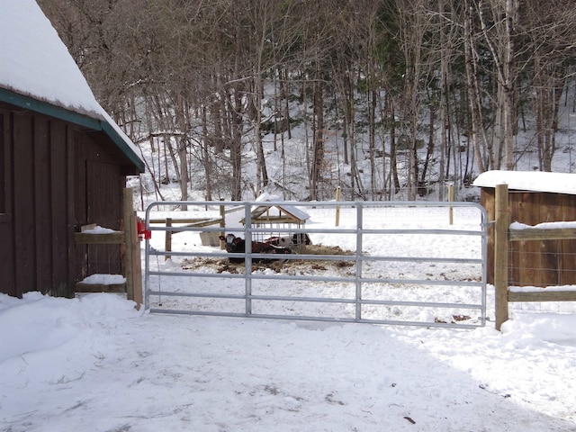 view of yard layered in snow