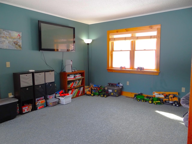 playroom featuring ornamental molding and carpet