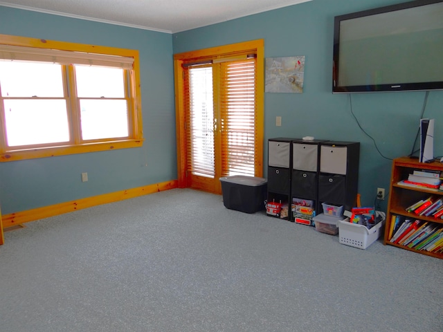 rec room with ornamental molding and carpet flooring