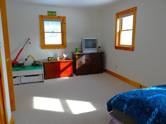 bedroom with multiple windows and carpet floors