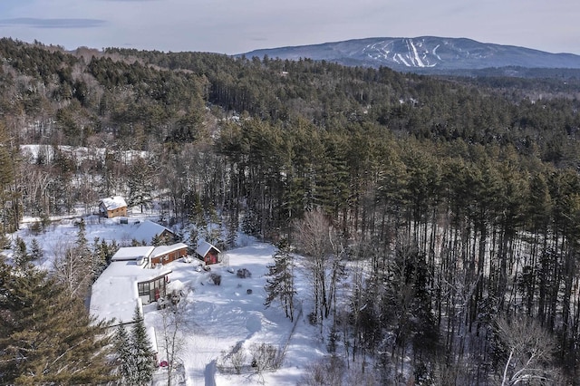 snowy aerial view featuring a mountain view