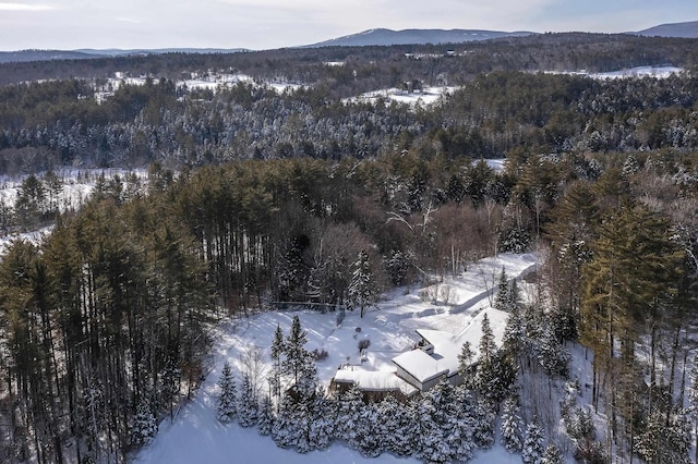 snowy aerial view featuring a mountain view