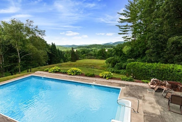 view of swimming pool featuring a patio area