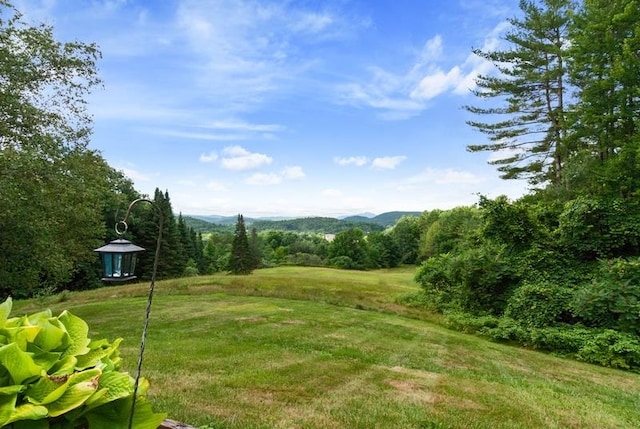 view of yard featuring a mountain view