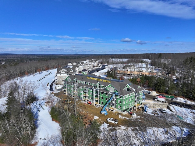 1 Longview Dr Unit 207, Atkinson, NH 03811 - view of snowy aerial view