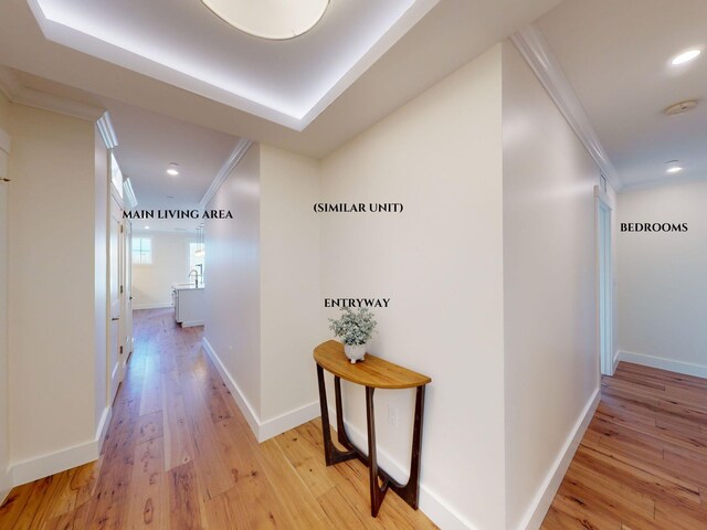 1 Longview Dr Unit 207, Atkinson, NH 03811 - corridor featuring crown molding and light hardwood / wood-style flooring
