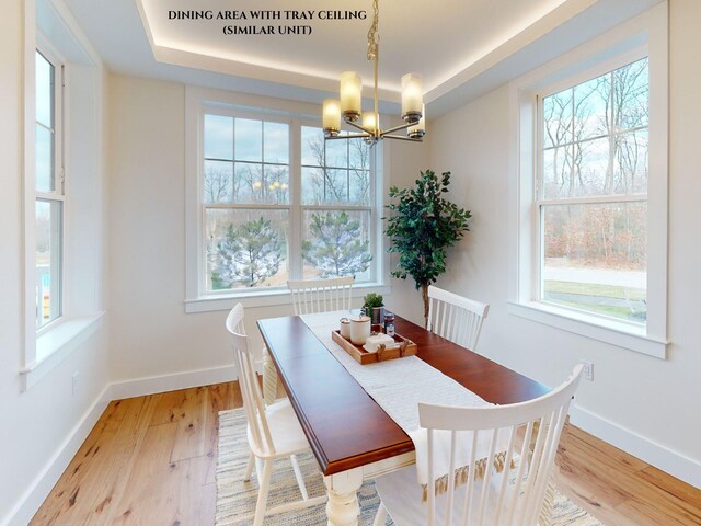 1 Longview Dr Unit 207, Atkinson, NH 03811 - dining area featuring a notable chandelier, a tray ceiling, and light hardwood / wood-style floors