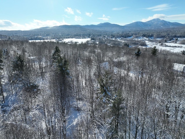 0 Belle Vista Rd, Jay VT, 05859 land for sale