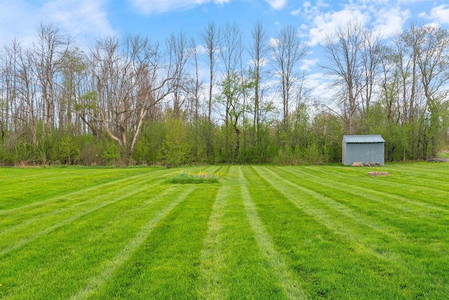 view of grassy yard with an outbuilding and a storage unit
