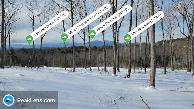 Listing photo 2 for 0 Maple Grove Rd, Madison NH 03849