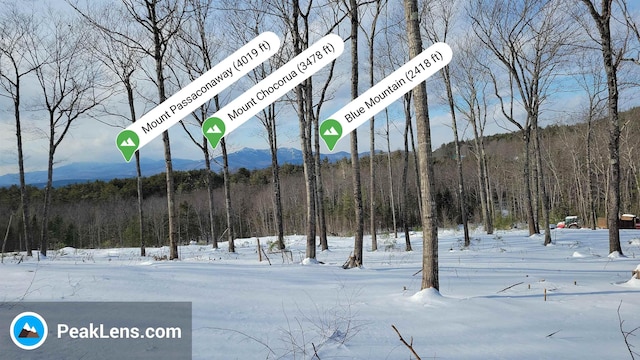 Listing photo 3 for 0 Maple Grove Rd, Madison NH 03849