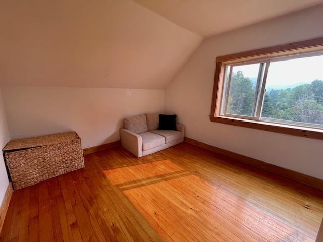 bonus room with hardwood / wood-style flooring and lofted ceiling