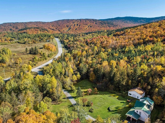 drone / aerial view featuring a mountain view