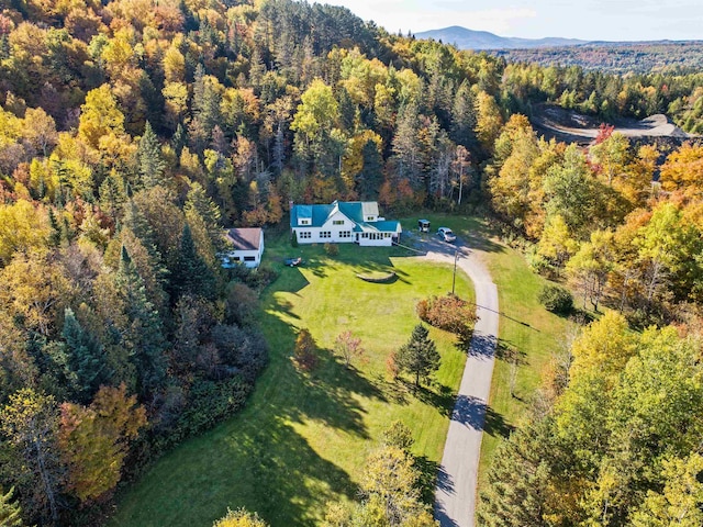 drone / aerial view featuring a mountain view