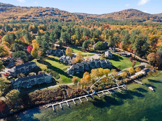 birds eye view of property with a mountain view